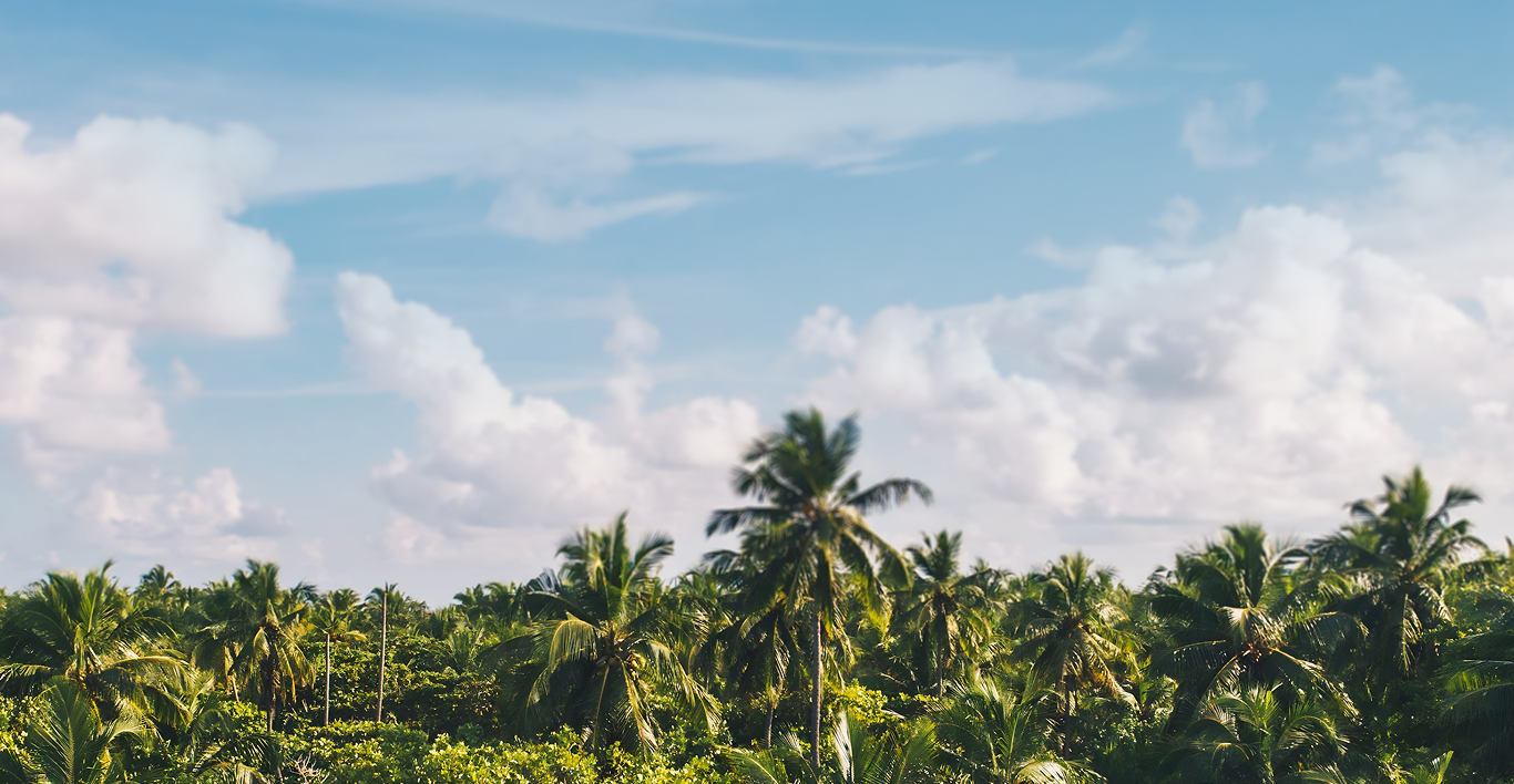 Lord Shrimant Ganpati Bappa Devalai